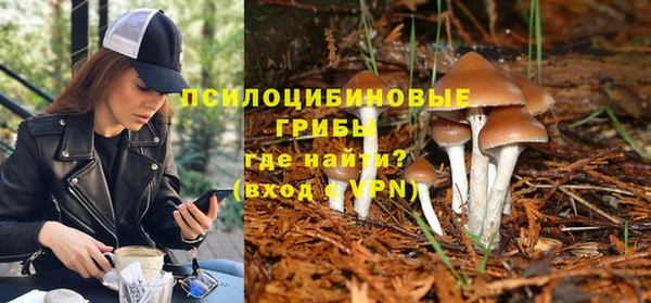 таблы Аркадак