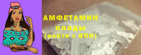 молекула духа Арсеньев