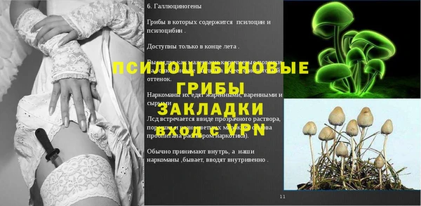 молекула духа Арсеньев