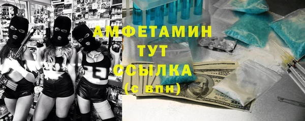 молекула духа Арсеньев