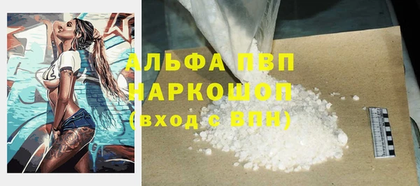 молекула духа Арсеньев