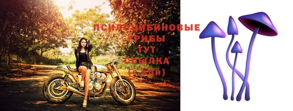 таблы Аркадак