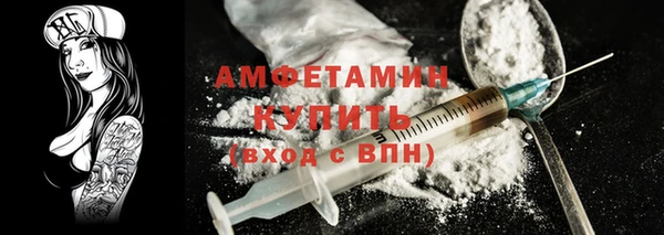 молекула духа Арсеньев