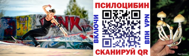 Галлюциногенные грибы MAGIC MUSHROOMS  OMG маркетплейс  Майкоп  закладки 