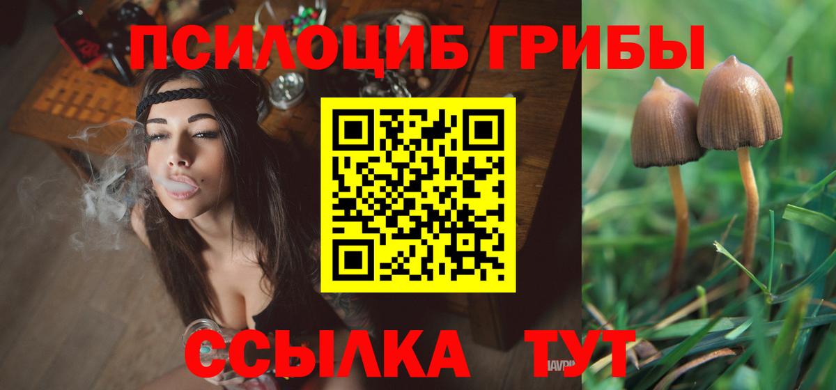наркошоп  Вход с VPN  Майкоп  Псилоцибиновые грибы мицелий 